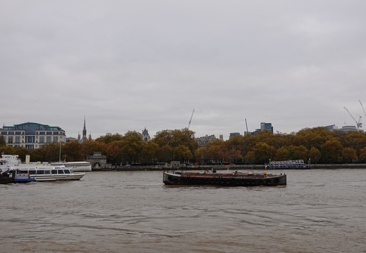 DSC05996