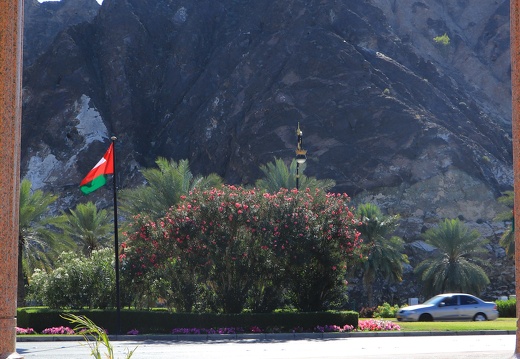 Muscat