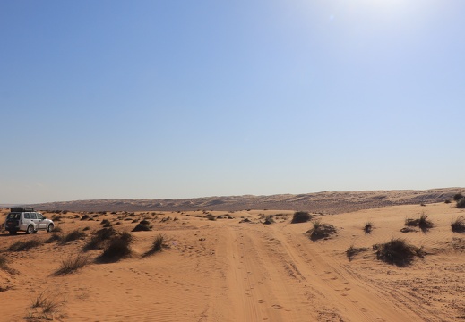 Wahiba sand