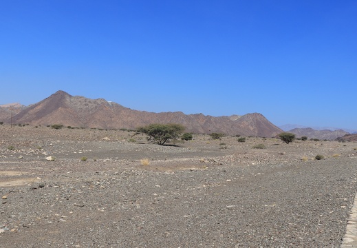 IMG 7487