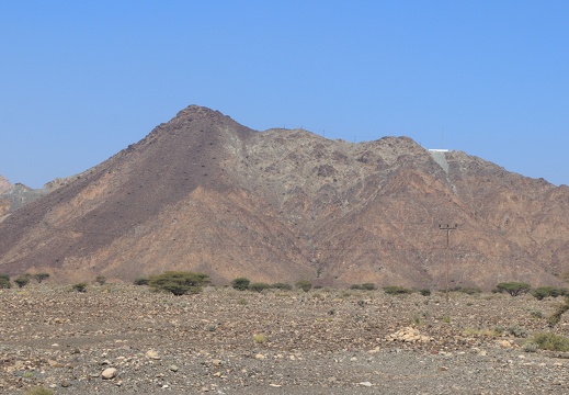IMG 7488