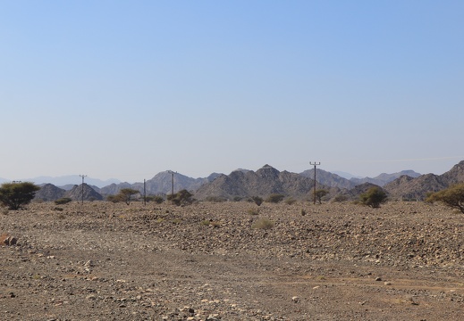 IMG 7491
