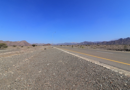 IMG 7501