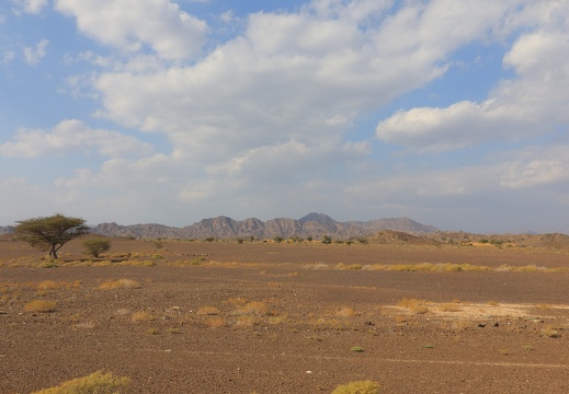 IMG 7677