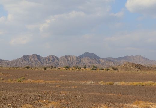 IMG 7680
