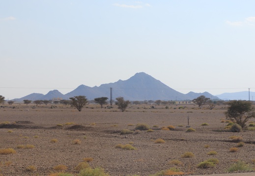 IMG 7687