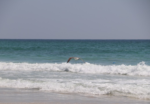 Salalah