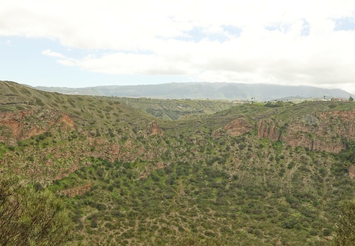 Bandama