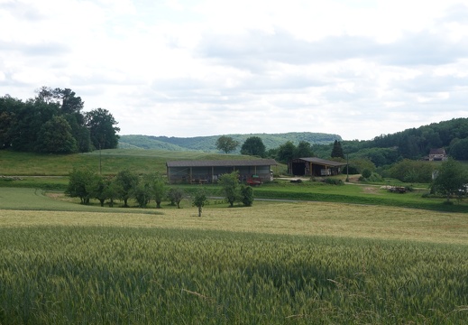 DSC06651