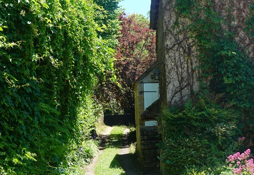 DSC06846