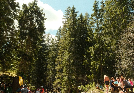 DSCF0148