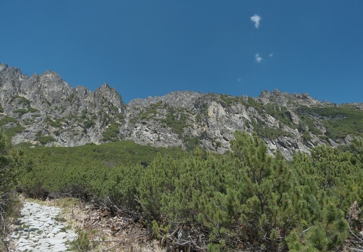 DSCF0157