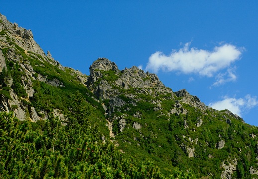 DSCF0158