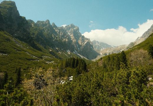 DSCF0160