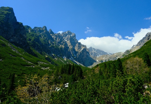 DSCF0161