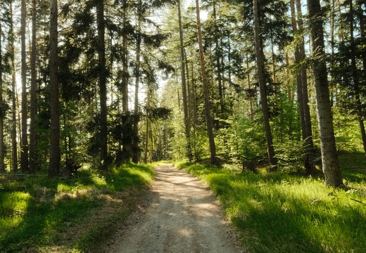 DSCF0356