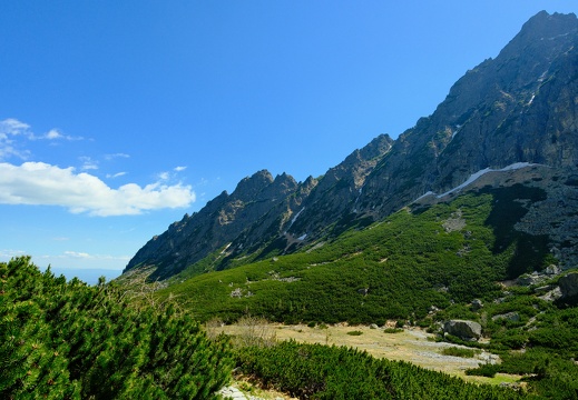 DSCF0186