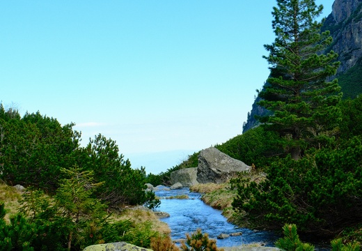 DSCF0195