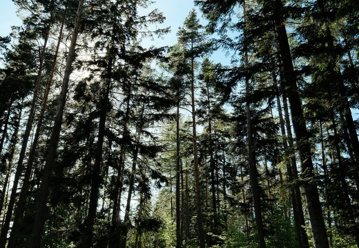 DSCF0360
